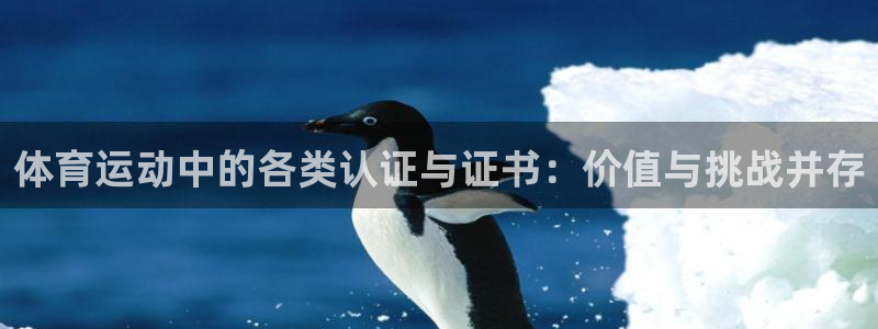 杏悦体育f开户