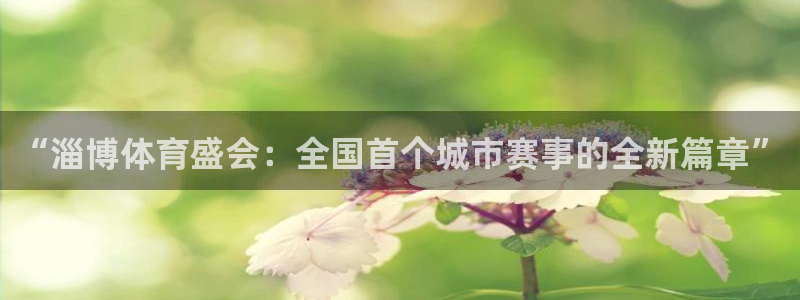 佛山市南海杏悦机电仪器有限公司