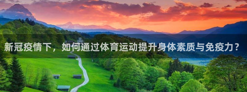 杏悦主管