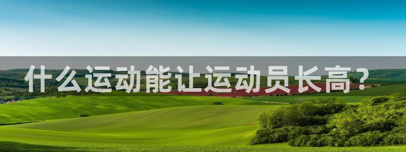 杏悦5招商