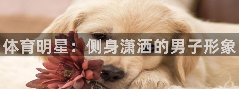 意昂体育4