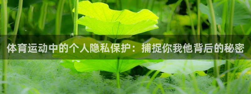意昂平台登陆