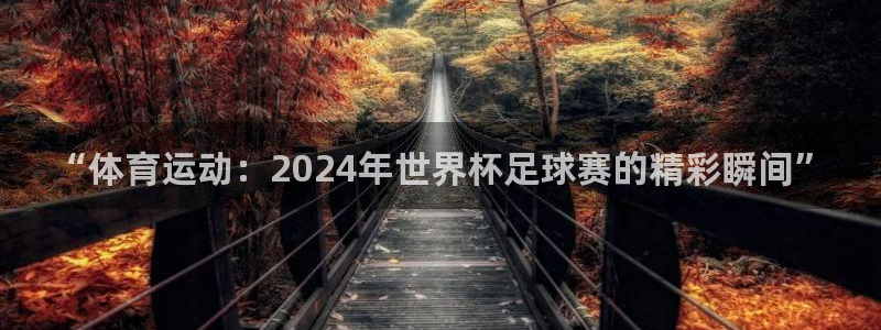 杏悦官网