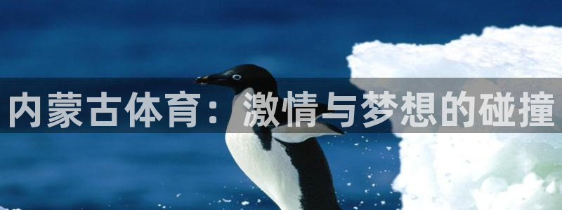 杏悦3官网
