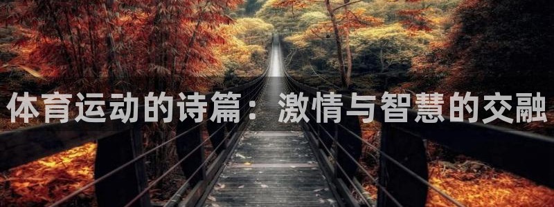 杏悦体育eon